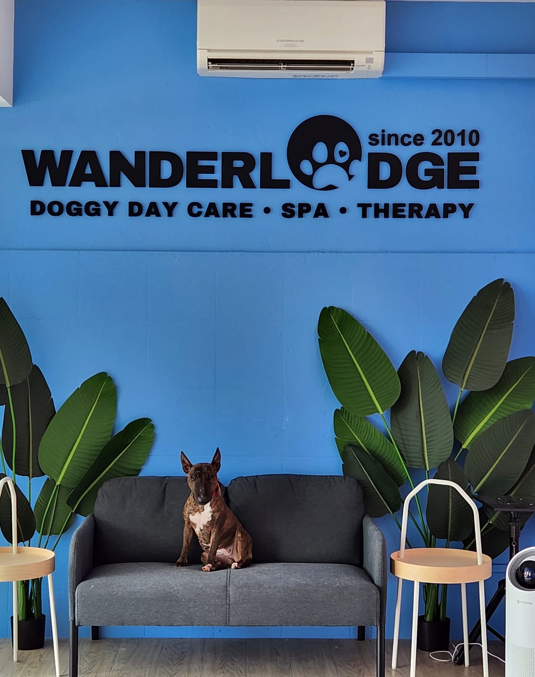 The Wanderlodge reception, with the sign on the blue wall and a dog on the sofa